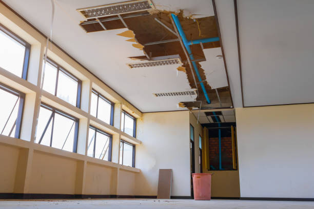 Best Water damage restoration near me  in Bruceton, TN