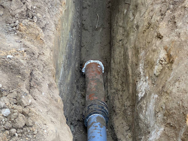 Best Flood restoration services  in Bruceton, TN