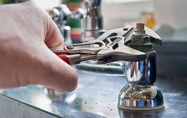 Best Basement water damage restoration  in Bruceton, TN