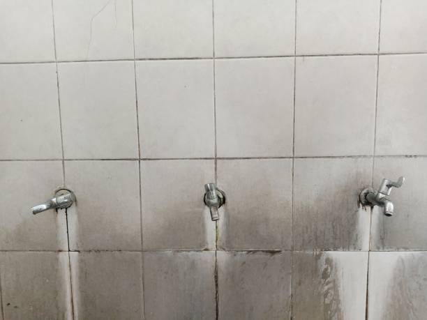 Best Water damage restoration near me  in Bruceton, TN