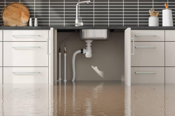 Best Emergency water damage restoration  in Bruceton, TN