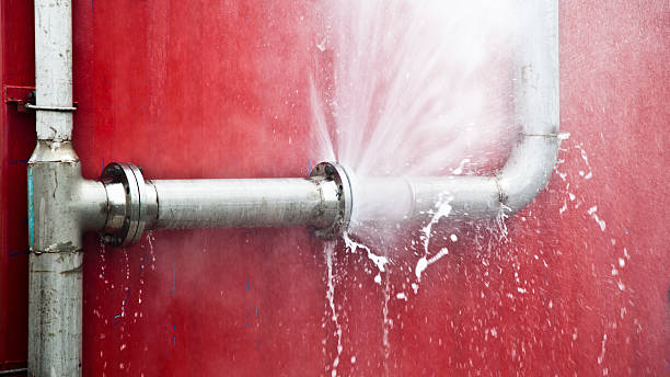 Best Commercial water damage restoration  in Bruceton, TN